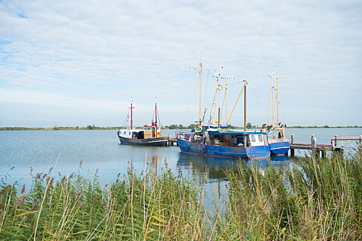 荷兰,渔船