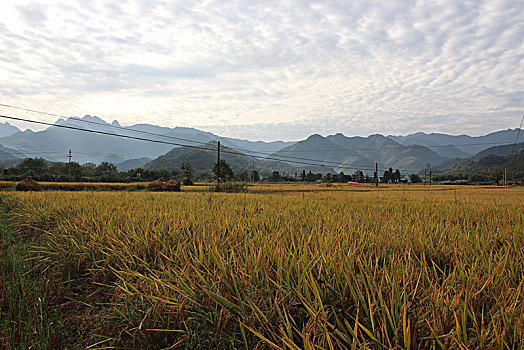 安徽农村