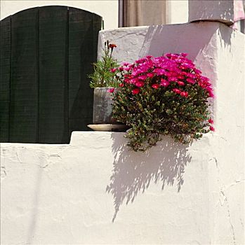 花饰,阿尔加维,葡萄牙