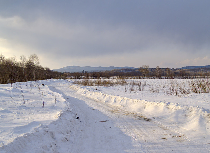 冬天真实农村风景图片图片