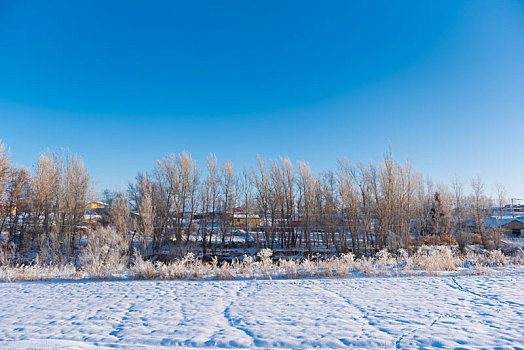 新疆冬季风光