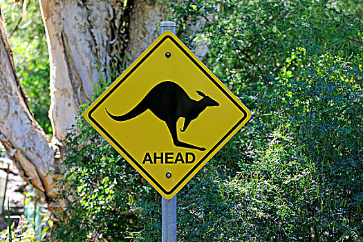 警告标识,袋鼠,威尔逊-普勒蒙特利国家公园,维多利亚,澳大利亚,大洋洲