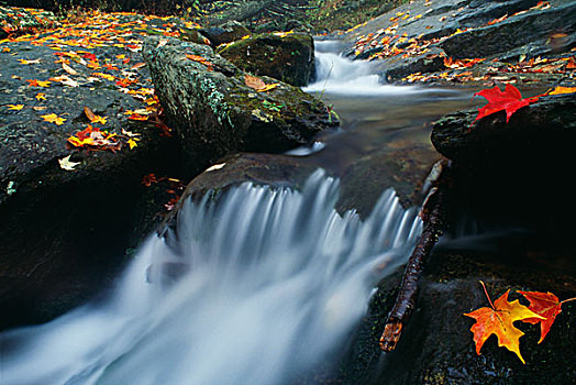 河流,仙纳度国家公园,弗吉尼亚,美国