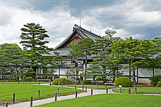 日本,人行道,树,正面,传统,建筑,东京