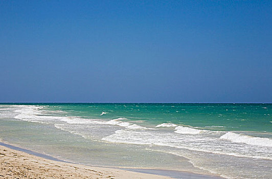 加勒比海,海景