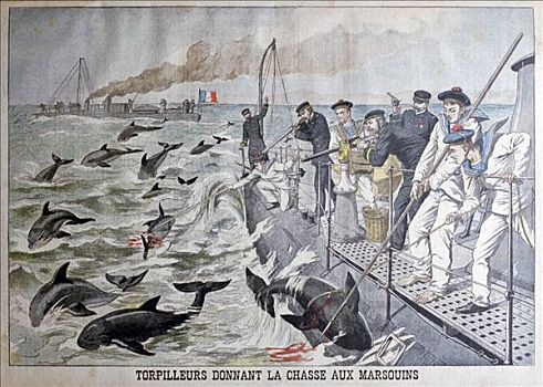 法国人,鱼雷,猎捕,鼠海豚,艺术家,未知