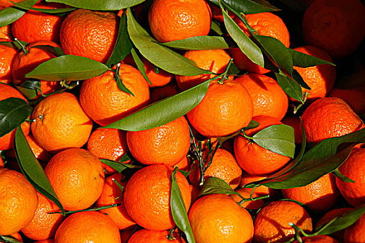 橘子,蔬菜,市场,文堤米利亚,省,因佩里亚,利古里亚,区域,里维埃拉,地中海,意大利,欧洲