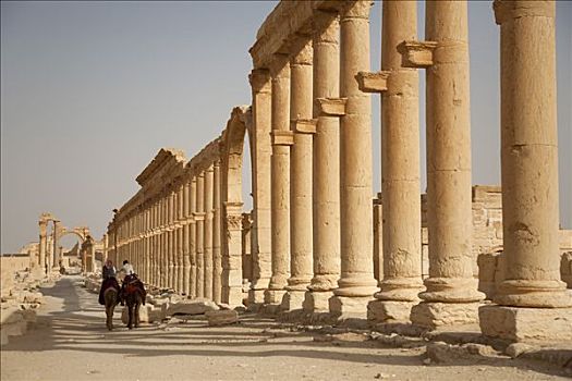叙利亚,帕尔迈拉,骑,古迹,皇后,城市