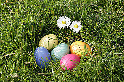 复活节,草地,花,复活节彩蛋,花园,草,雏菊,小,星期日,传统,地点,隐藏处,鸡蛋,蛋,彩色