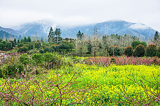 田园春色