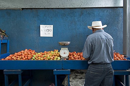 哥斯达黎加,市场,西红柿