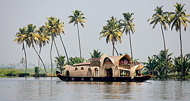 奢华,船屋,运河,正面,棕榈树,树,喀拉拉,印度,亚洲