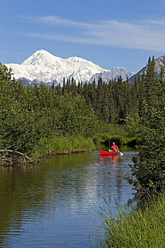 男人,独木舟,湖,德纳里峰,背景,阿拉斯加,夏天