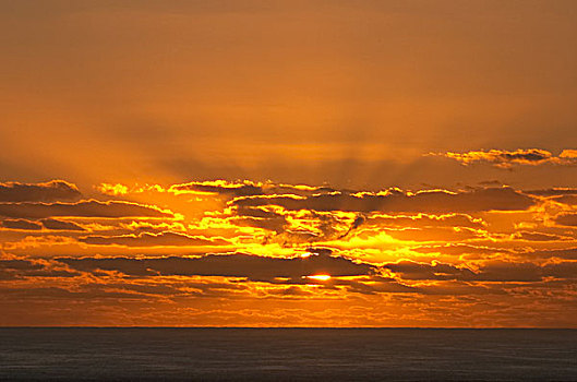 日出,阳光,海岸,昆士兰,澳大利亚