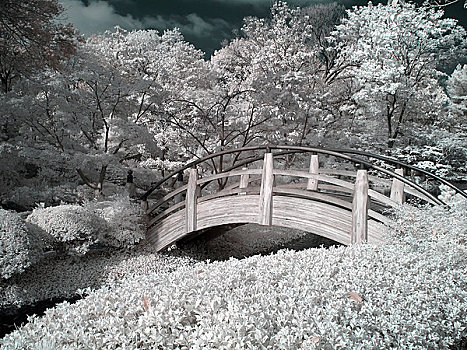 步行桥,花园,日式庭园,美国