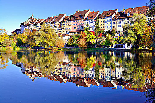 历史,中心,反射,水塘,市立公园,瑞士,欧洲
