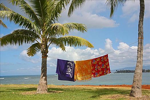 夏威夷,瓦胡岛,三个,彩色,印花方巾,悬挂,棕榈树,海洋,天空