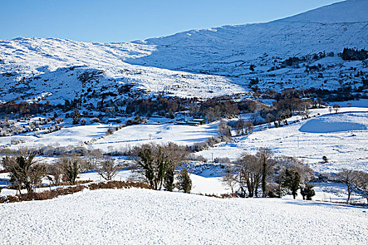 积雪,土地,冬天,凯瑞郡,爱尔兰