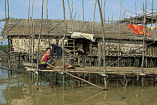 柬埔寨,靠近,收获,漂浮,乡村,男孩