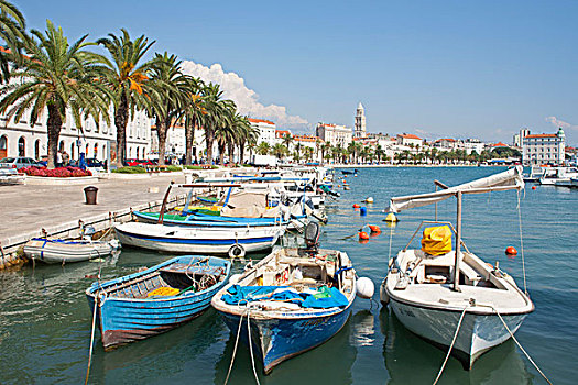 捕鱼,船,港口,分开,中心,达尔马提亚,亚得里亚海,海岸,克罗地亚,欧洲