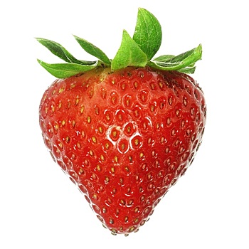 草莓,隔绝,白色背景,背景,大,景深