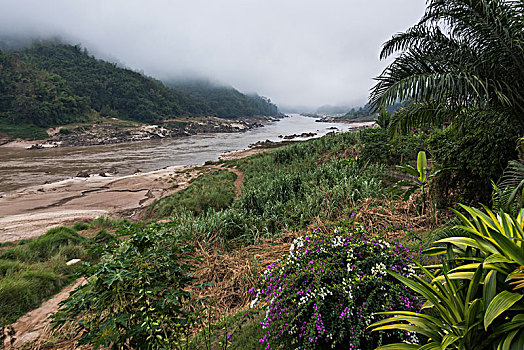 风景,河,湄公河,老挝