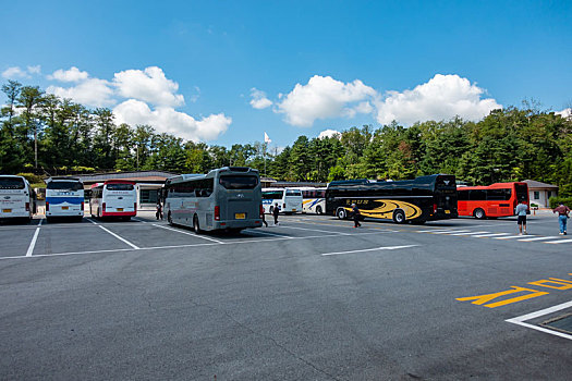 停靠在朝韩非军事区内的旅游巴士