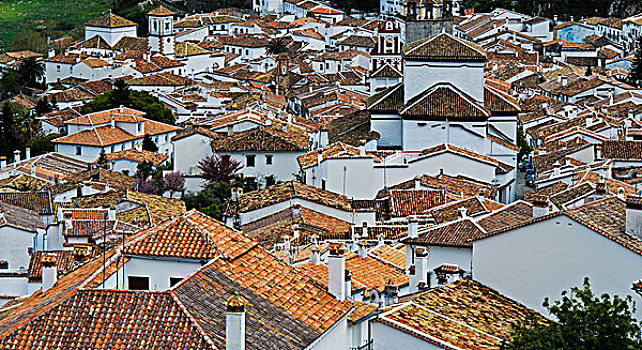 风景,上方,屋顶,白色,乡村,普韦布洛,格拉萨莱玛,自然公园,卡迪兹,安达卢西亚,西班牙,欧洲