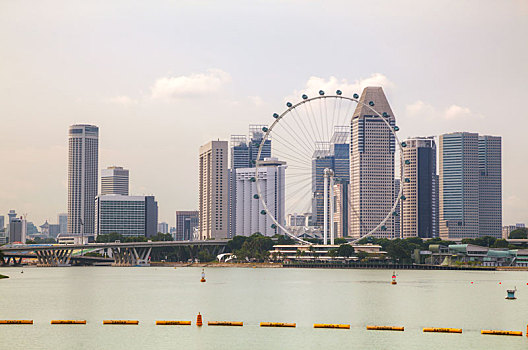 市区,新加坡,风景,码头,湾