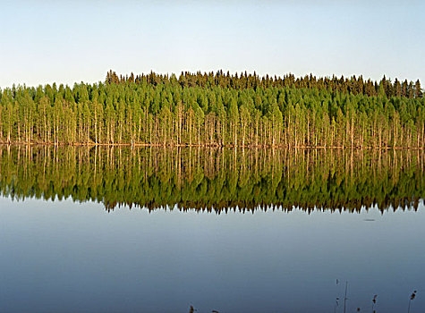 安静,湖,芬兰