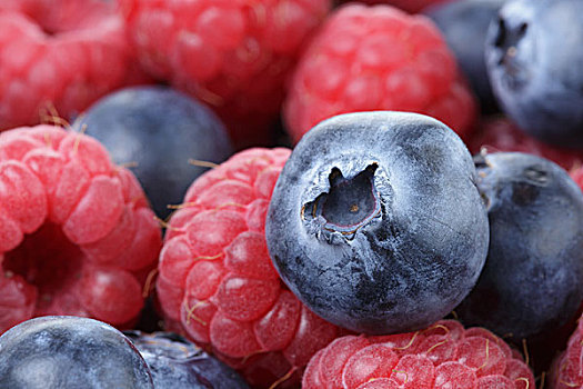 成熟,蓝莓,自然,有机,浆果