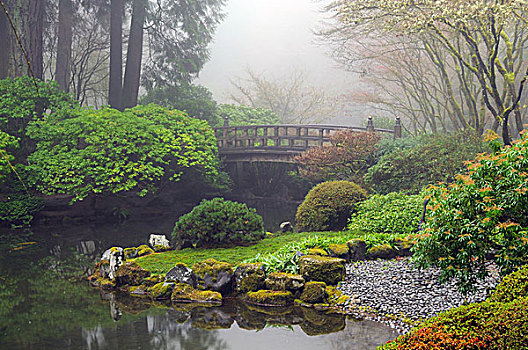 水塘,月亮,桥,波特兰,日式庭园,雾状,俄勒冈,美国