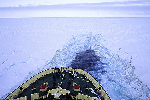 南极,俄罗斯,破冰船,冰