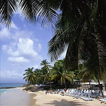 海滩,瓜德罗普,加勒比海