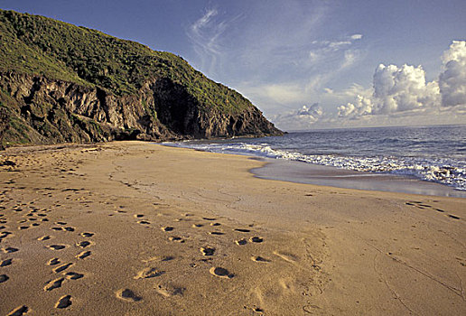 加勒比,脚印,大西洋,海滩