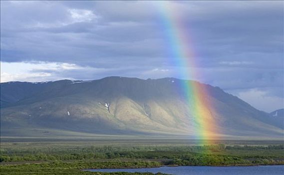彩虹,上方,湖,苔原,奥基尔维山,背影,戴珀斯特公路,育空地区,加拿大,北美