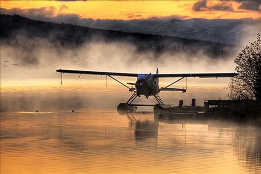 水上飞机,坐,白鲸,湖,本垒打,肯奈半岛,阿拉斯加
