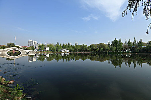 公园,湖泊