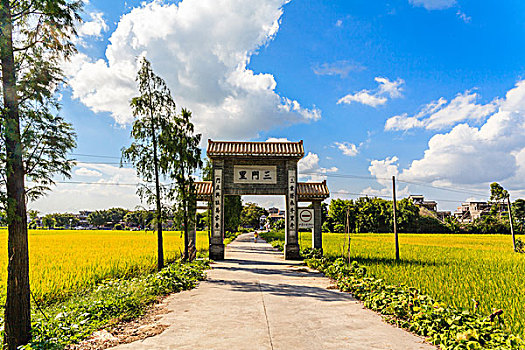 广东开平碉楼三门里村