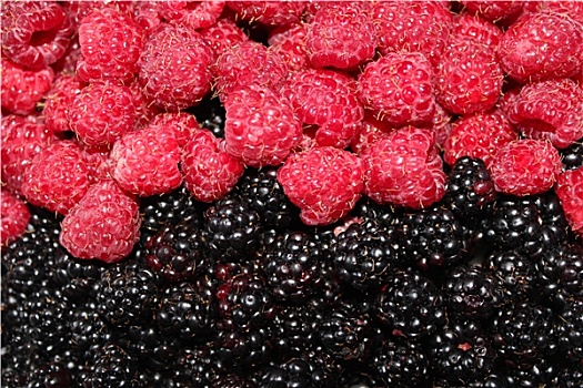 堆积,黑莓,树莓