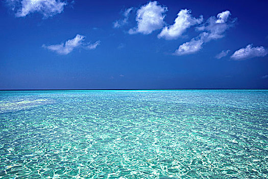 透明的绿松石水,印度洋,马尔代夫