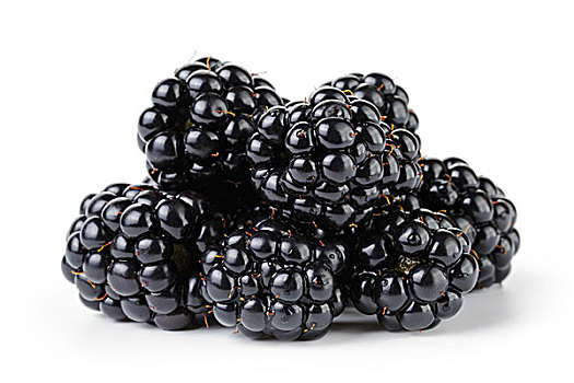 成熟,有机,黑莓,隔绝,白色背景,背景