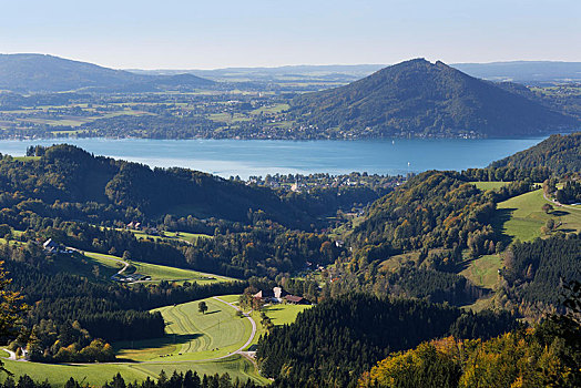 风景,湖,山,前景,萨尔茨卡莫古特,区域,上奥地利州,奥地利,欧洲