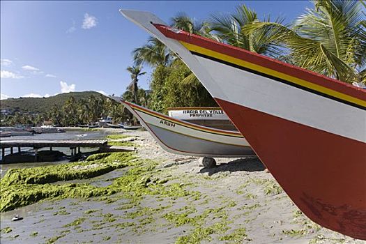 渔船,海滩,玛格丽塔岛,加勒比海,委内瑞拉,南美