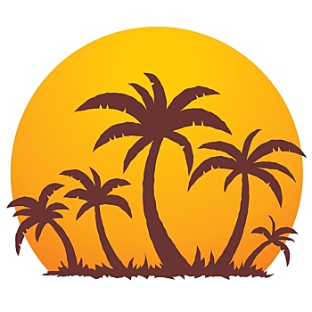 棕榈树,夏天,日落
