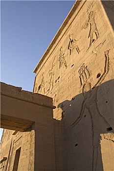 雕刻,墙壁,寺庙,菲莱岛,埃及