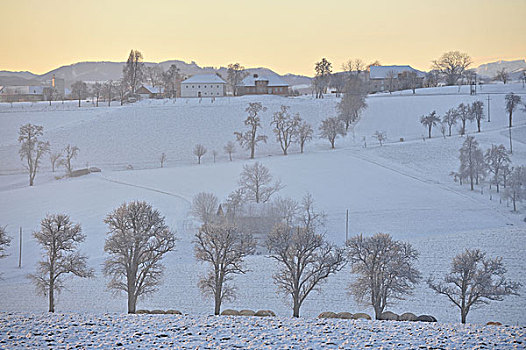 冬季风景,奥地利,欧洲