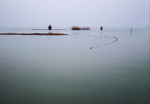 太湖湿地