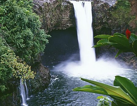 夏威夷,夏威夷大岛,河,州立公园,彩虹瀑布