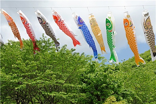 日本人,鲤鱼,风筝,装饰